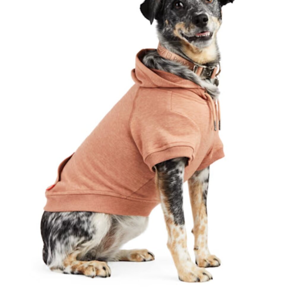 BEST FRIEND EVER Print Dog Shirt  SZ Large NEW